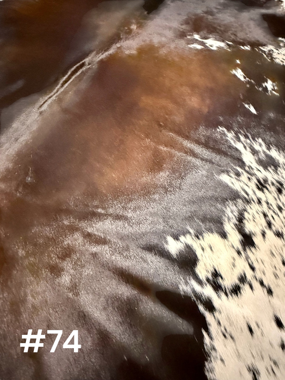 #74 Oversized Dark Chocolate & White Cowhide Rug – Approx. 7.5’ x 6.5’ Statement Hide