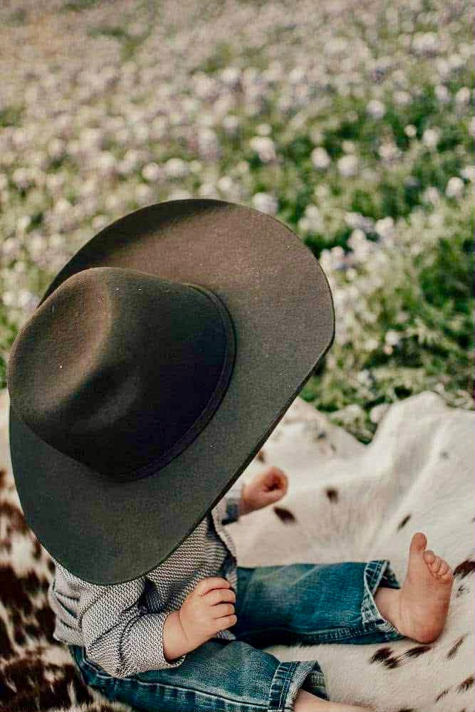 Hides Collection – Western Elegance, Naturally Refined