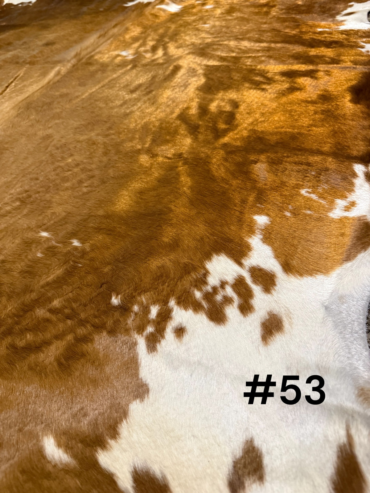#53 Golden Honey Cowhide Rug – Luxe Shimmer Hide