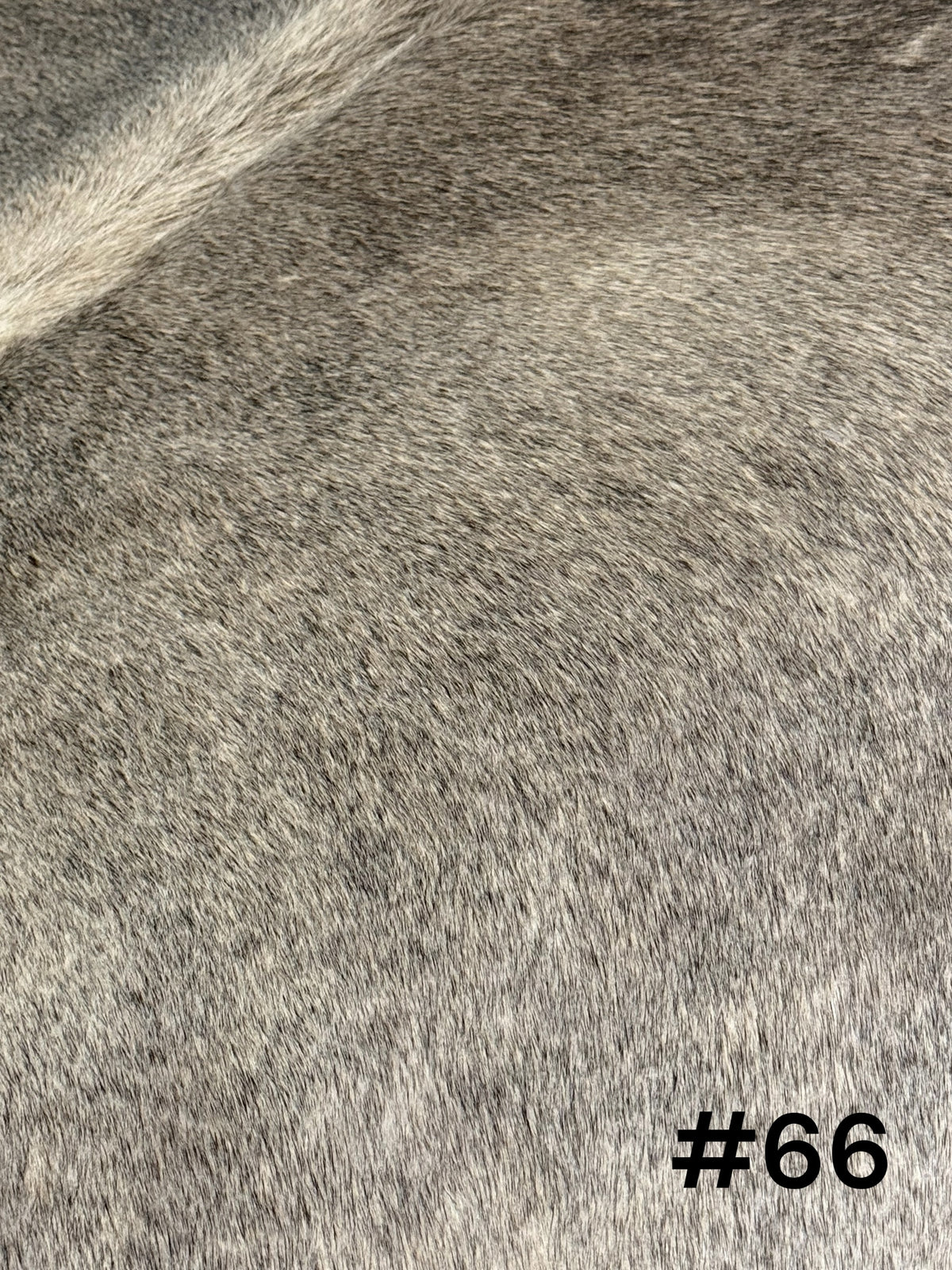 #66 Silver Sage Cowhide Rug – Approx. 5 x 4.5 Soft Neutral Luxe Hide